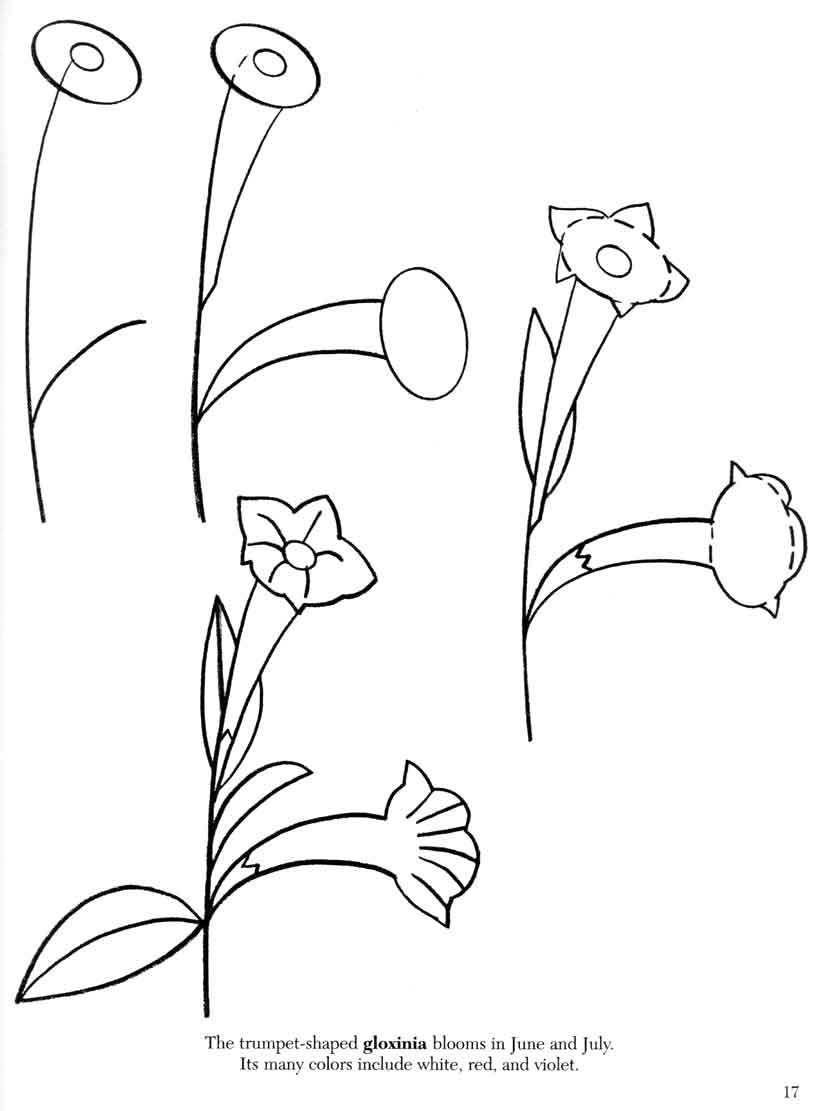 Пошаговое рисование цветы для детей