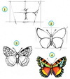 Учимся рисовать насекомых и бабочек