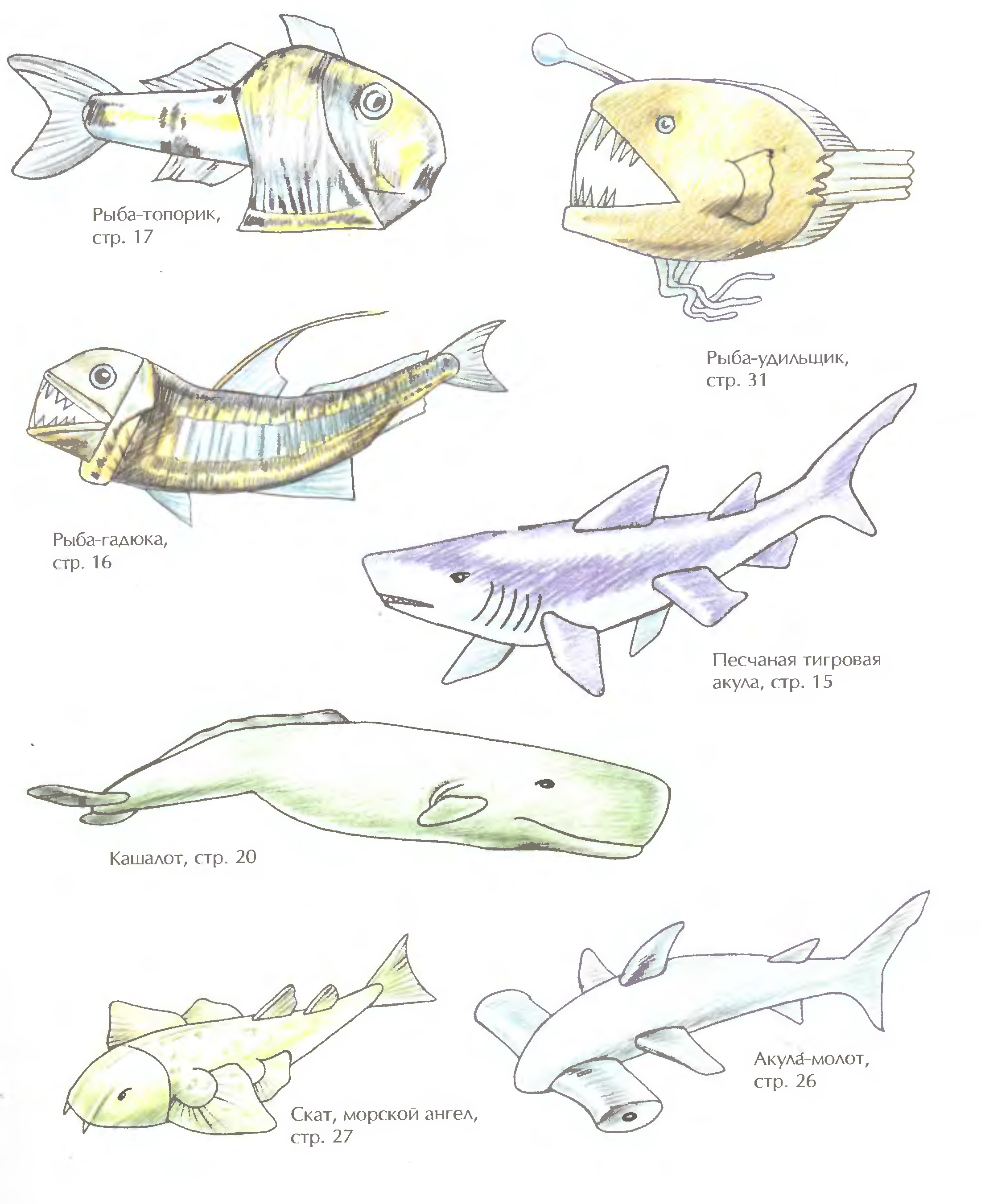Как развивались древние рыбы поэтапно